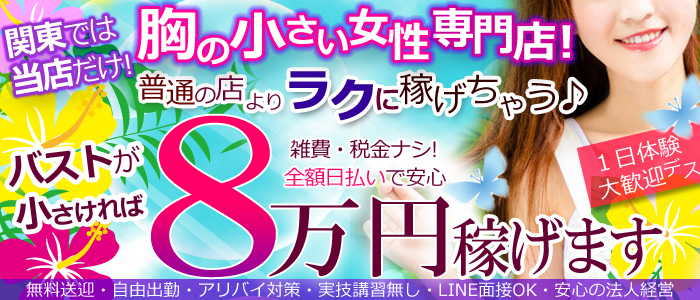 貧乳パラダイス メイン画像