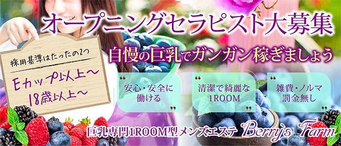 Berry`s Farm メイン画像