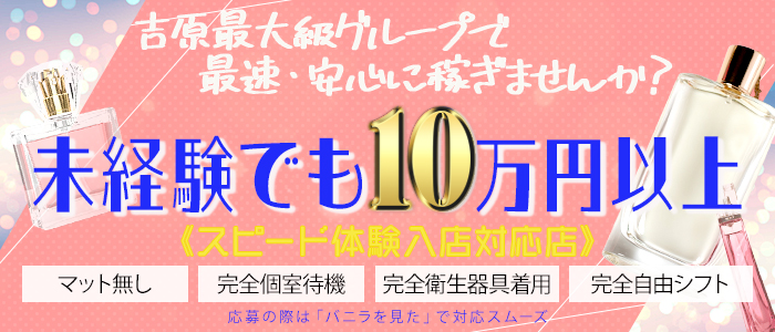 シェリーエンジェル メイン画像