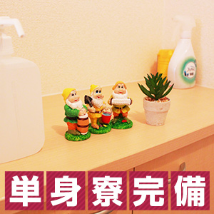 神栖人妻花壇 出稼ぎ