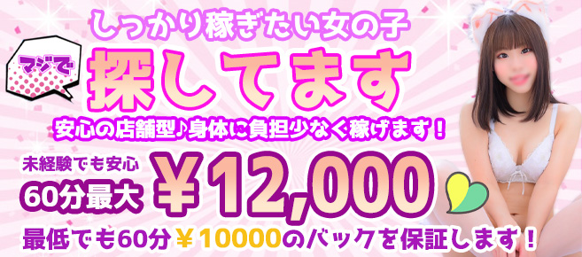 パラダイス2 メイン画像