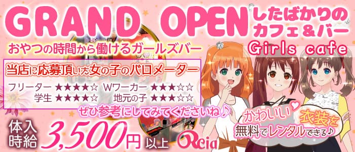 Reiaの風俗求人情報サーチバナー