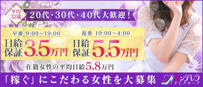 新橋・汐留人妻ヒットパレード メイン画像