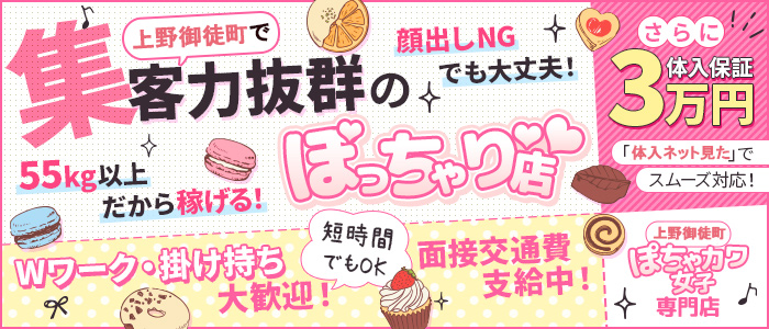 ぽちゃカワ女子専門店 上野御徒町店 メイン画像
