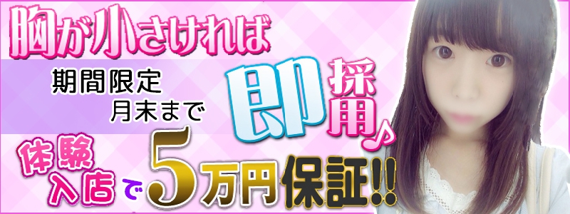 貧乳パラダイスバナー