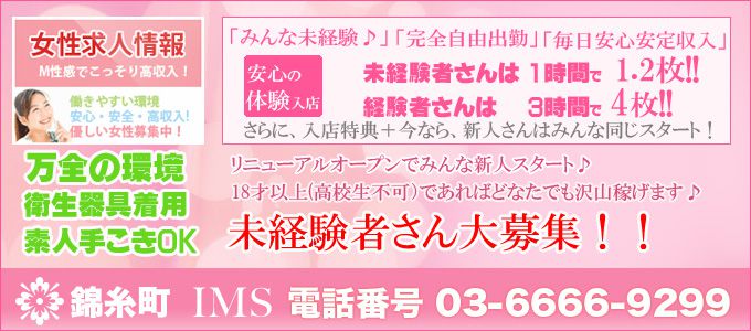 ＩＭＳ メイン画像